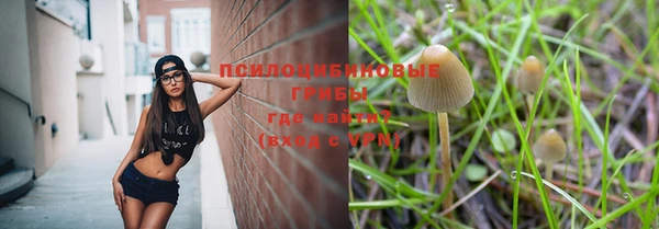 соль ск Переславль-Залесский