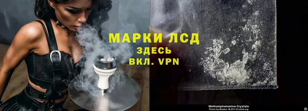 мяу мяу мука Пестово