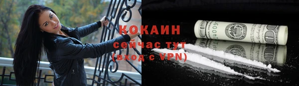 мяу мяу мука Пестово