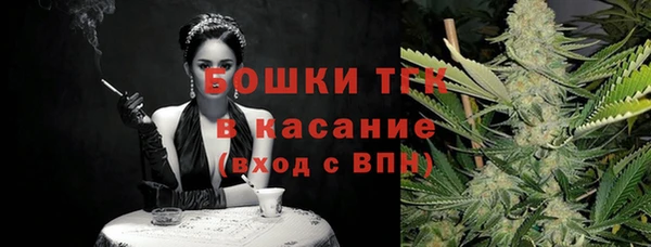 соль ск Переславль-Залесский